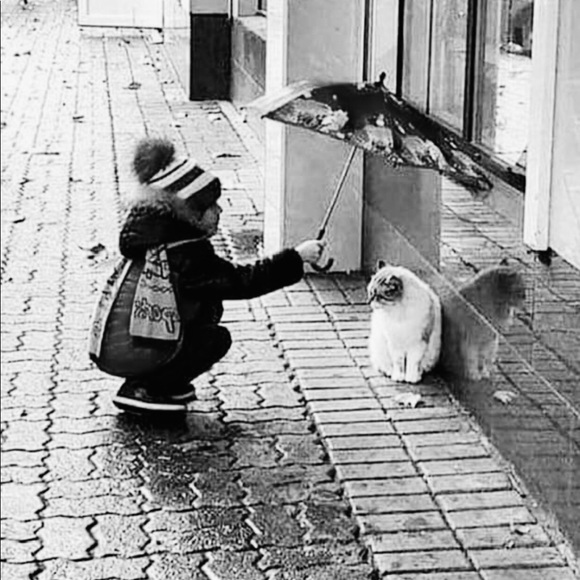 ✝️Grateful Posh Ambassador🙏♥️ - Picture 5 of 6